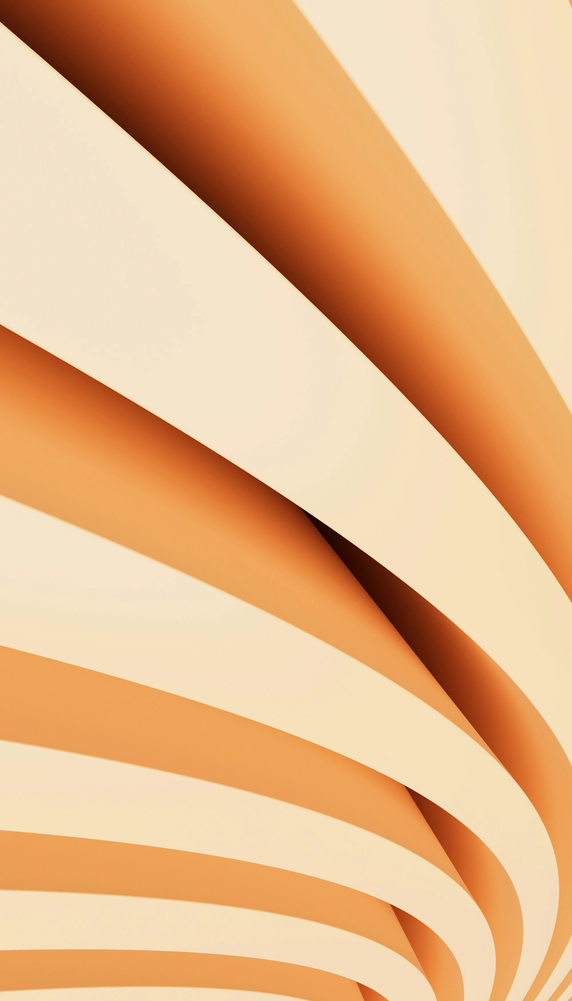 Abstract warm shapes suggesting innovation and learning